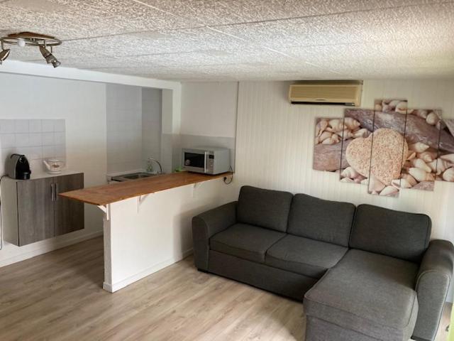 L'Appartement Du Micocoulier サロン＝ド＝プロヴァンス エクステリア 写真